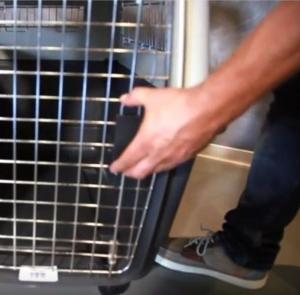 Cage De Transport Pour Chien Ou Chat Kennel La Toutouniere